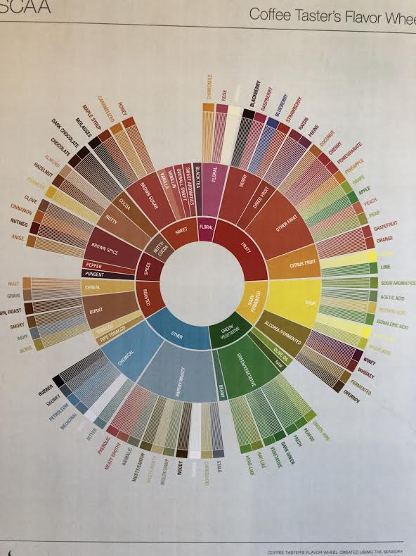 Brewing a great cup of coffee depends on chemistry and physics