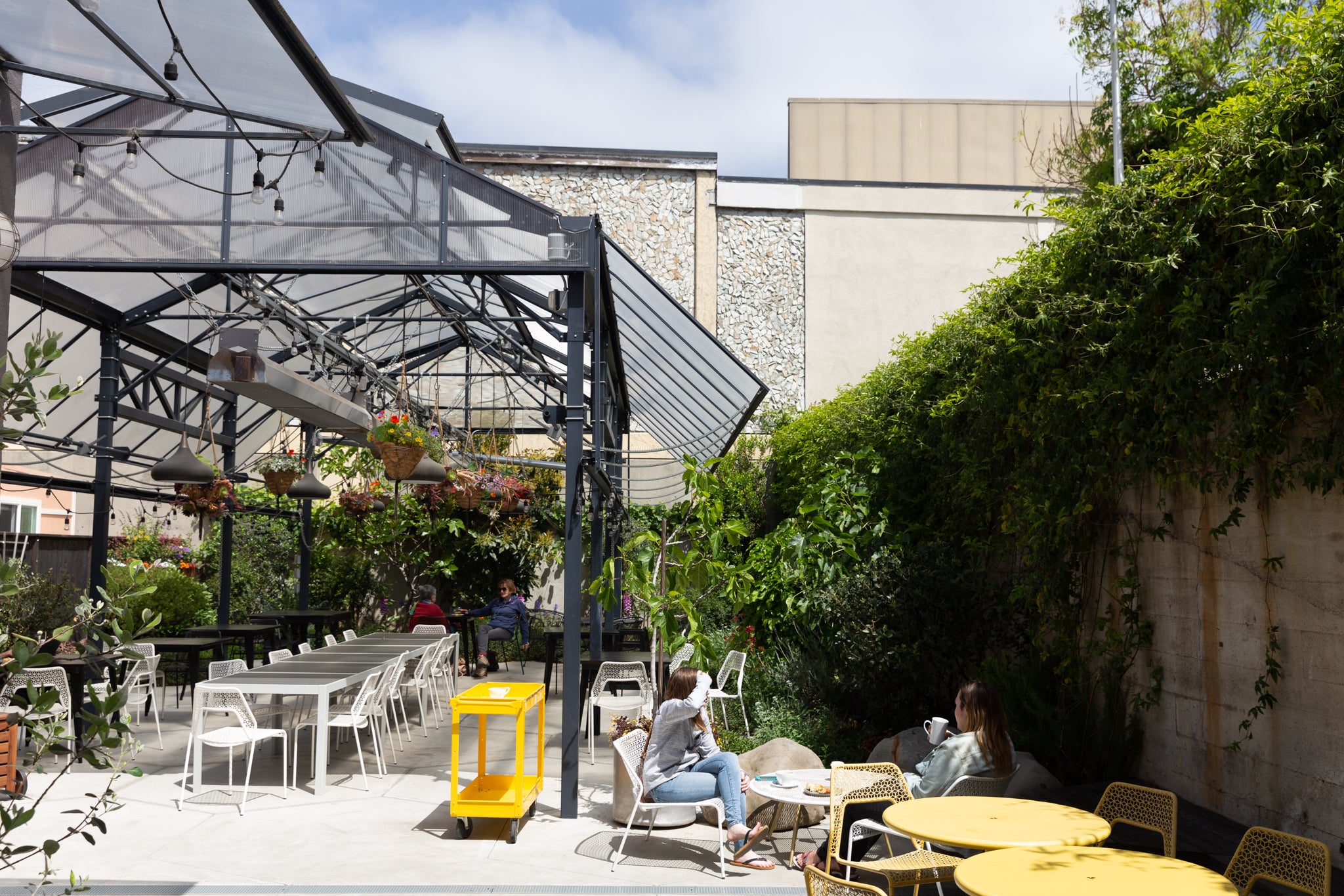 Now Open!  Cafenated Coffee House in Berkeley California